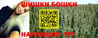 сатива Гатчина