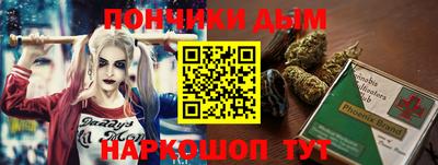 сатива Гатчина