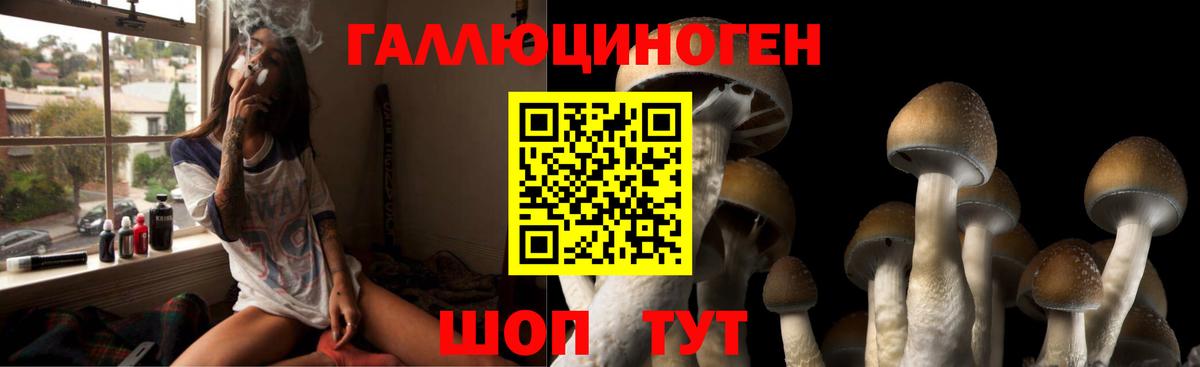 Псилоцибиновые грибы мухоморы  Вход с VPN  Псилоцибиновые грибы мицелий  Лесной 